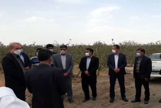 افزایش ۳ برابری خسارات ناشی از حوادث طبیعی نسبت به سال زراعی قبل