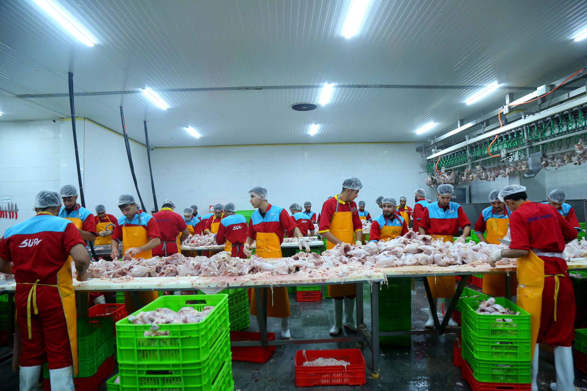 تور رسانه ای به مناسبت هفته دامپزشکی 