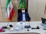  جهش تولید در دیمزارها یکی از مهم‌ترین برنامه‌های وزارت جهاد کشاورزی است