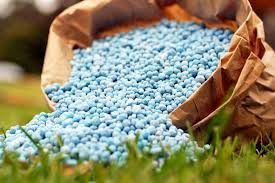 2550 تن کود برای کشت قراردادی در مازندران توزیع شد