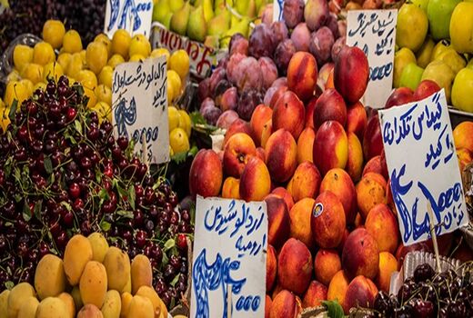 ضعف در نظارت دلیل اصلی گرانی میوه