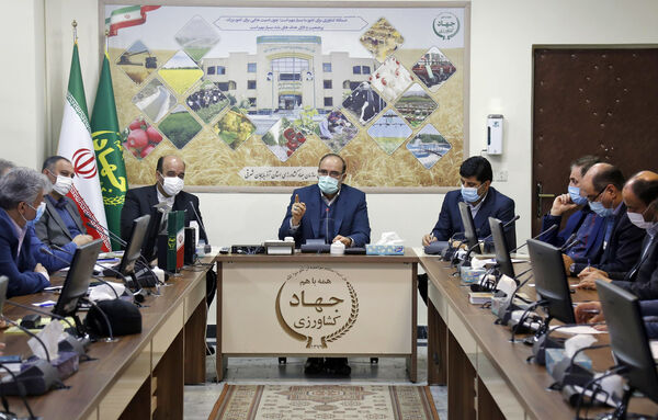 سپردن مسئولیت تأمین و توزیع محصولات غذایی به جهاد کشاورزی، اقدام درستی است