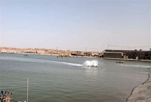  ۸ پروژه پرورش میگو در شهرستان گناوه به بهره‌برداری می رسد