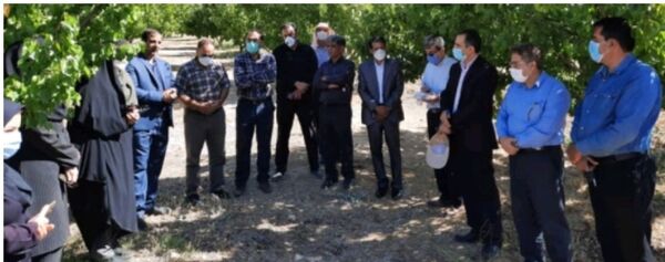 بازدید کارشناسان سازمان حفظ نباتات و مؤسسه تحقیقات گیاهپزشکی کشور از باغات زردآلوی روستاهای مروک و دو دختران شهرستان دورود