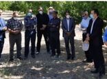 بازدید کارشناسان سازمان حفظ نباتات و مؤسسه تحقیقات گیاهپزشکی کشور از باغات زردآلوی روستاهای مروک و دو دختران شهرستان دورود