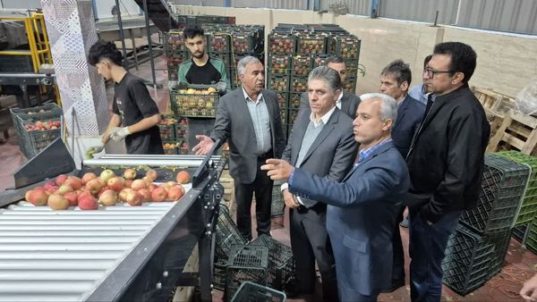 سفر هیات بازرگانی کرمانشاه به آذربایجان‌غربی برای تأمین سیب شب عید