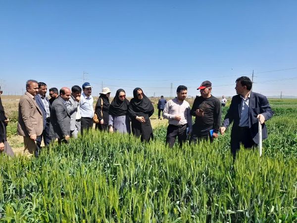  راهکار افزایش تولید کمی و کیفی محصولات زراعی در استان