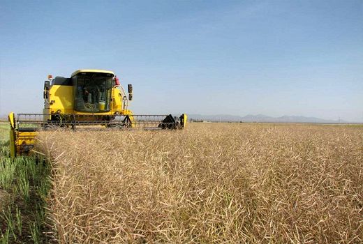 تدوین سند استانی کاهش خطر حوادث و سوانح بخش کشاورزی در استان مرکزی  