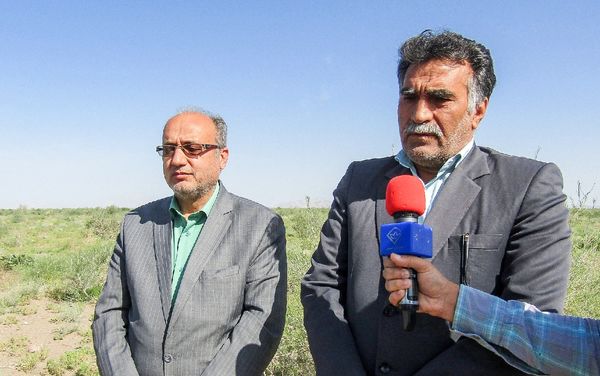 همت جهادی برای مقابله با ملخ‌های مهاجم در سطح استان خراسان جنوبی