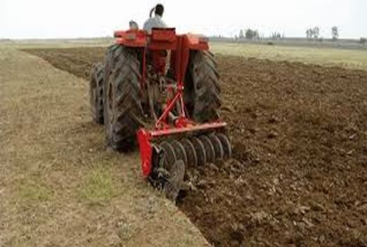 انجام شخم اولیه در ۴۵ درصد اراضی شالیزاری گیلان