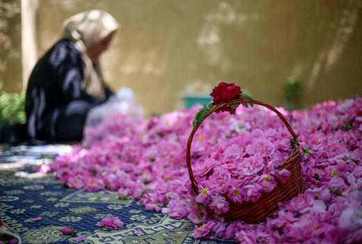 اجرای طرح بهبود تغذیه زنان روستایی و ایجاد باغچه‌های خانگی در خراسان رضوی 