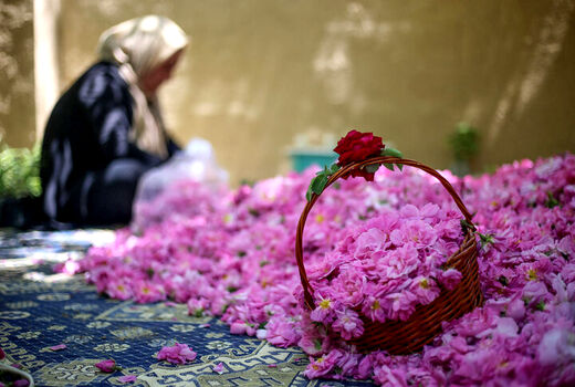 اجرای طرح بهبود تغذیه زنان روستایی و ایجاد باغچه‌های خانگی در خراسان رضوی 
