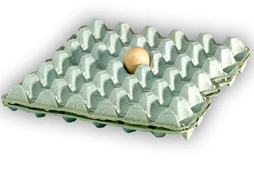 امکان شیوع بیماری‌های عفونی طیور به دلیل استفاده از کارتن‌های استفاده شده