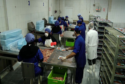 افزایش صادرات لبنیات