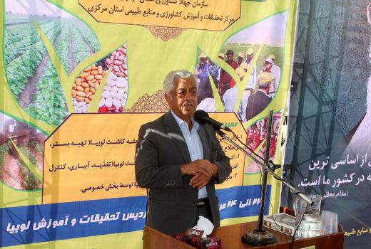 وضعیت بخش کشاورزی کشور به رغم تحریم ها و جنگ اقتصادی مطلوب است