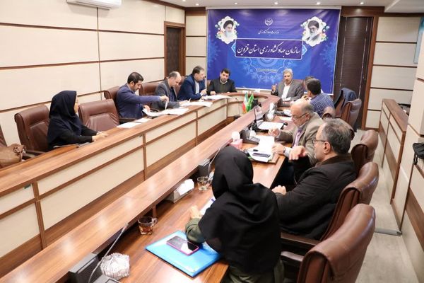 ۱۰‌ هزار هکتار از اراضی استان قزوین رفع تداخل شد