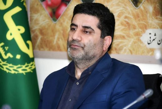 اعلام سیاست‌های حمایتی از کشت قراردادی گندم، جو و دانه‌های روغنی