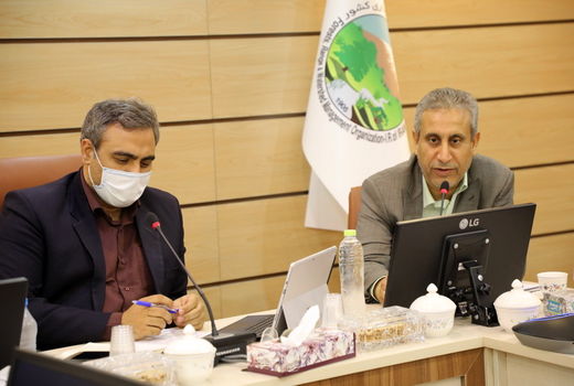 توسعه زراعت چوب با آب‌های نامتعارف در دستور کار سازمان جنگل‌ها