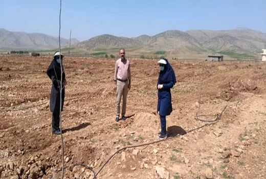 متقاضیان مشمول در شیراز یارانه نهال می گیرند