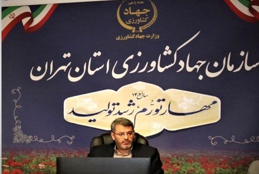 کشت محصولات زراعی پاییزه در استان تهران به بیش از 54 هزارهکتار رسید