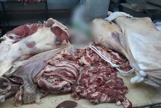 کشف و ضبط دو تن گوشت گرم گاوی تنظیم بازاری تاریخ منقضی از یک فروشگاه زنجیره‌ای در مراغه