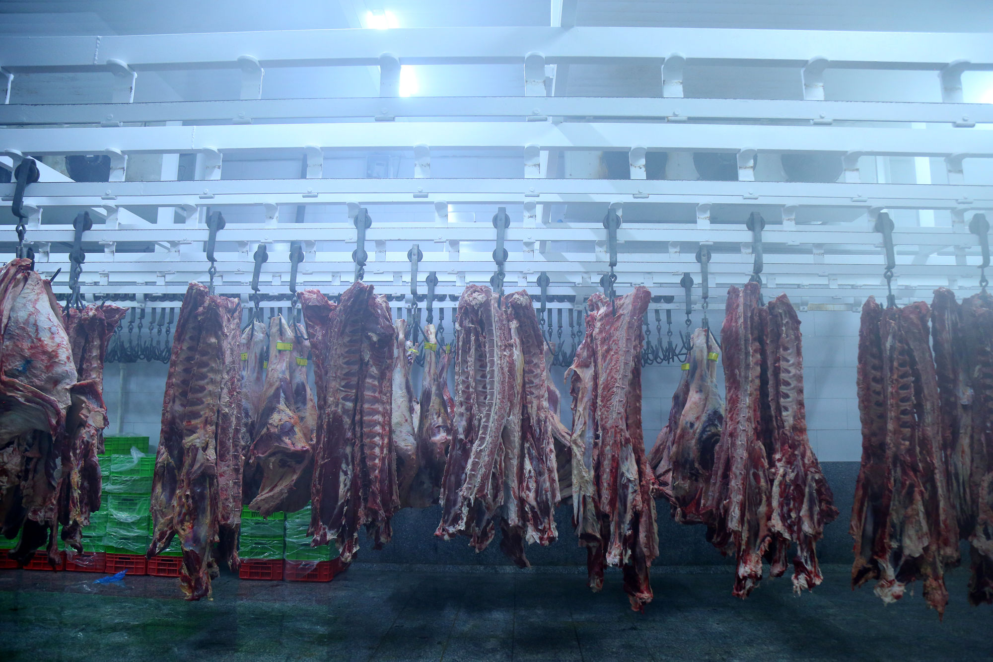 تور رسانه ای به مناسبت هفته دامپزشکی 