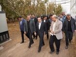 بازدید استاندار قزوین از گلخانه تولید گوجه‌سبز و آلو در شهرستان قزوین