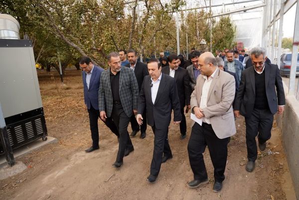 بازدید استاندار قزوین از گلخانه تولید گوجه‌سبز و آلو در شهرستان قزوین