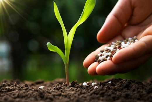 توزیع سه هزار و 900 تن کود شیمیایی در شهرستان مراغه