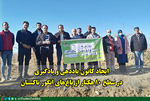 ایجاد کانون یاددهی و یادگیری در سطح ۱۰ هکتار از باغ‌های انگور تاکستان