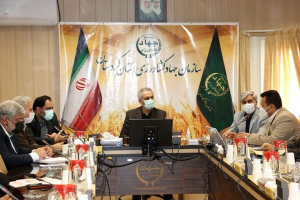 طرح جهش تولید در دیمزارهای کردستان ۹۰ درصد پیشرفت فیزیکی دارد