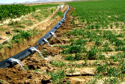 اجرای سامانه آبیاری نوین در 624 هکتار از اراضی شهرستان درمیان