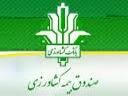 8000 هکتار از شالیزارهای مازندران بیمه شد