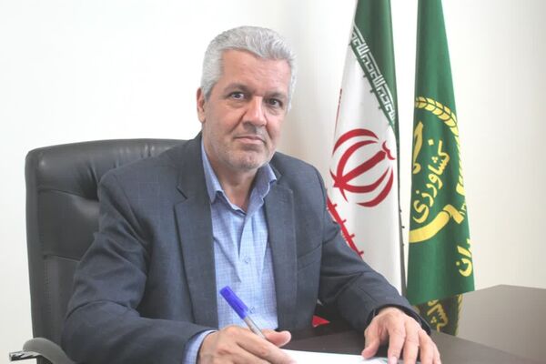 کشت هندوانه در الگوی کشت استان همدان جایی ندارد