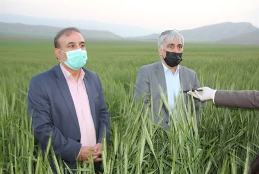 مدیریت کشاورزی در لرستان موفق بوده است