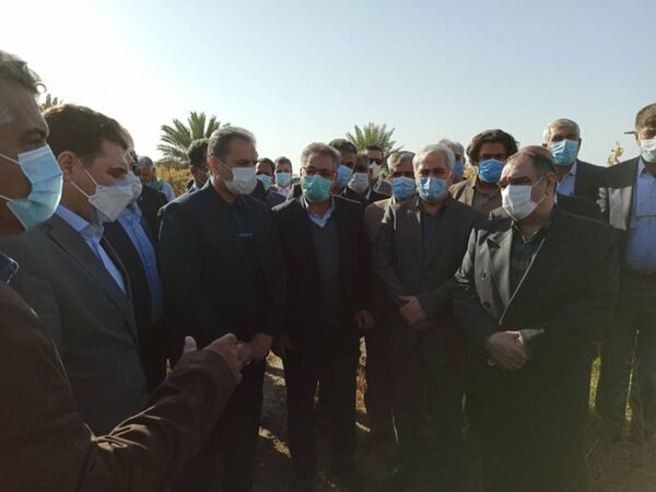 بازدید وزیر جهاد کشاورزی از مزارع و باغات خسارت دیده از سرما در جیرفت