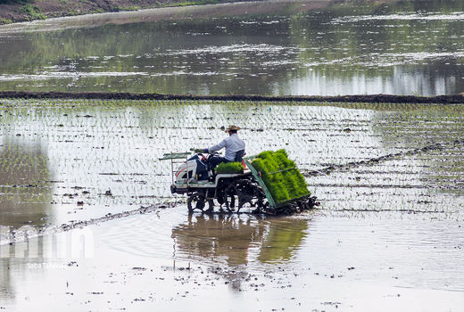 اعتبار ۲۴۰میلیارد ریالی برای بیمه روستاییان 