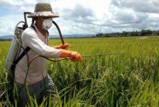 ممنوعیت مصرف ترکیب کلودینافوپ پروپارژیل 48 درصد EC با درج نام کمپانی اگرو شیمی-مجارستان 