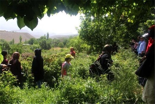 ساماندهی طرح‌های گردشگری کشاورزی بدون تخریب اراضی کشاورزی