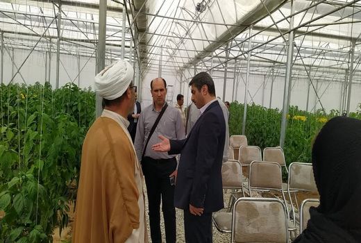 گلخانه تولید فلفل دلمه‌ای و مرکز تحقیقات به بهره‌برداری رسید