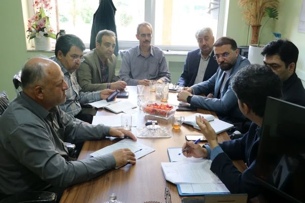 پیشبینی خرید ۵۰ هزار تن جو بهصورت تضمینی از کشاورزان استان قزوین
