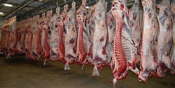 خرید حمایتی گوشت قرمز از دامداران استان چهارمحال و بختیاری