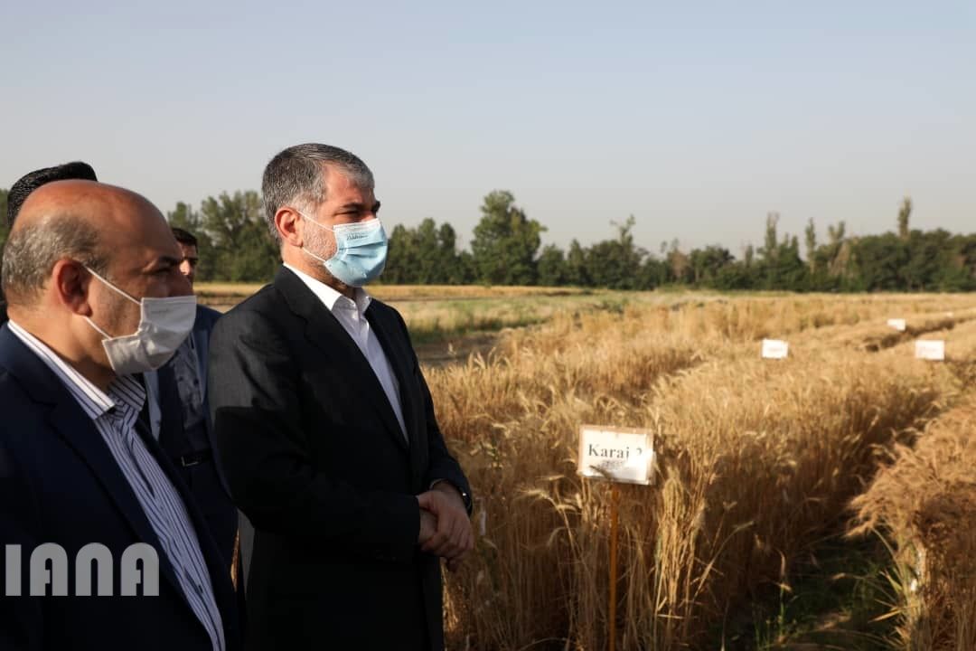 WhatsApp Image 2022-06-14 at 10.06.24 AM (1)