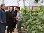 جهاد کشاورزی محور تاب‌آوری و امنیت غذایی جامعه است