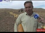 ثبت رکورد برداشت کدوآجیلی در دیواندره