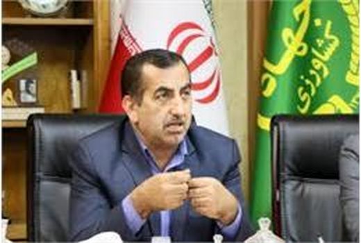 صادرات 100 درصدی محصولات کشاورزی در مازندران