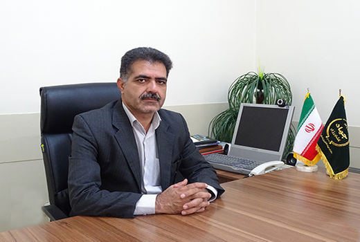 افزایش 12 درصدی تولید گندم دیم در کازرون