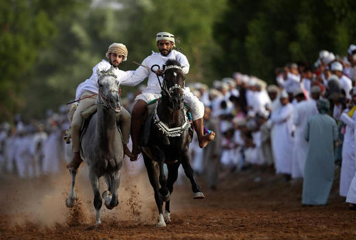 نمایش اسب‌ها در عمان