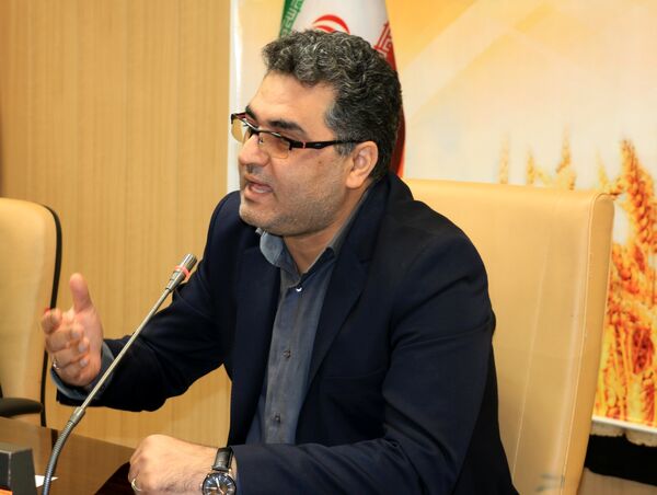 بیش از ۲۲ هزار تن بذر گندم اصلاح شده در کردستان تولید می شود