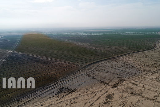 طرح‌های مقابله با بیابان‌زایی با بافت مناطق بیابانی متناسب‌سازی شود